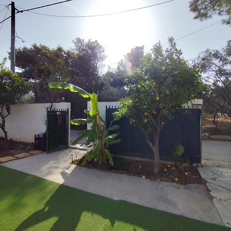 Johnson House Villa Rafína Exterior foto